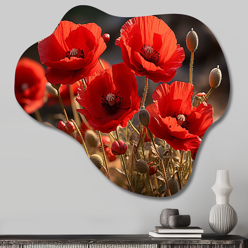 Courtois - coquelicots nuage art mural, impression asymétrique traditionnelle sur métal, H 22 po x l 30 po