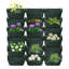 Pot de fleurs mural avec 18 pots-993017618