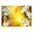 Kaleisha Floral Wall Mural-1741699019-1689887440