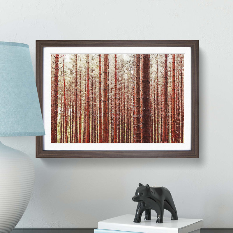 Red Forest in the Autumn - Picture Frame Photograph Print, 27cm H x 36cm W x 2cm D, Walnut Framed