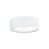 White is out of stock