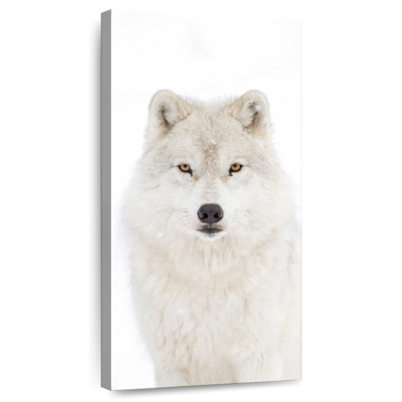 Loup arctique blanc neige, H 30 po x l 15 po