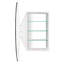 21.25'' W Mirrored Medicine Cabinet