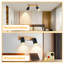 Shelvie Spotlight-939306549