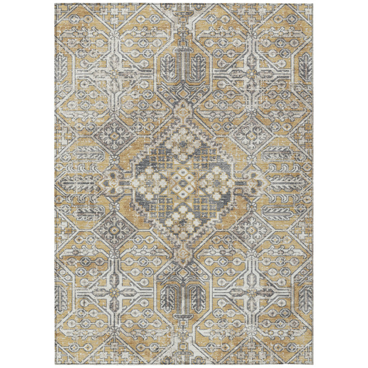 Machine Washable Indoor/Outdoor Huseby ACN2197 Global Rug