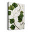 Tallow Tree - peinture sur toile tendue-708031111
