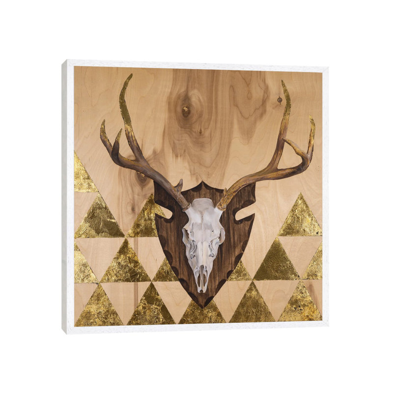 Buck Skull by Andrea Fairservice - Print on Canvas, 45.72 cm H x 45.72 cm W, White Framed