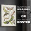 Papillons antiques II - impression sur toile seulement - non encadrée-337837781