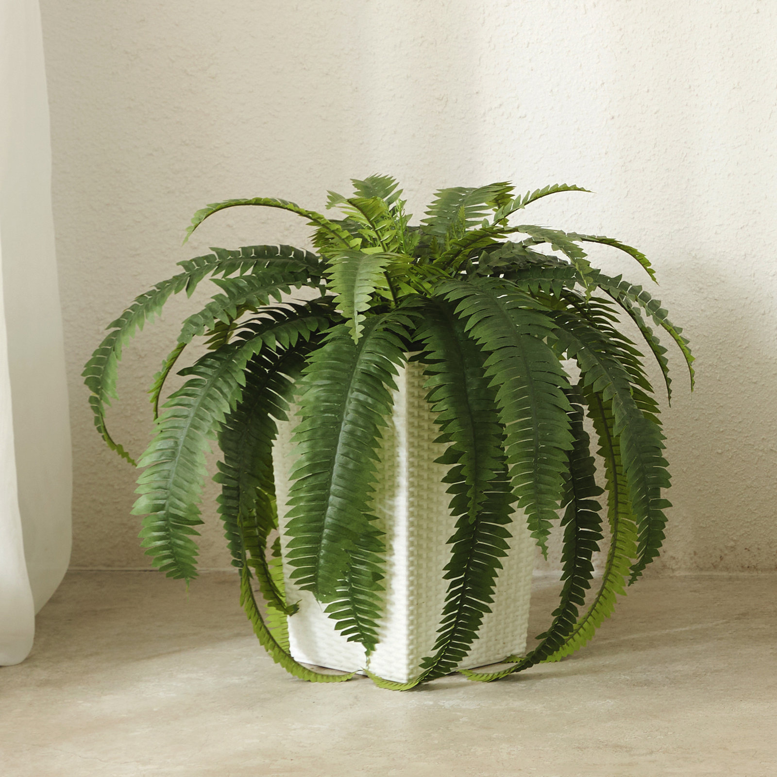 Adcock 39" Fern Plant, 4