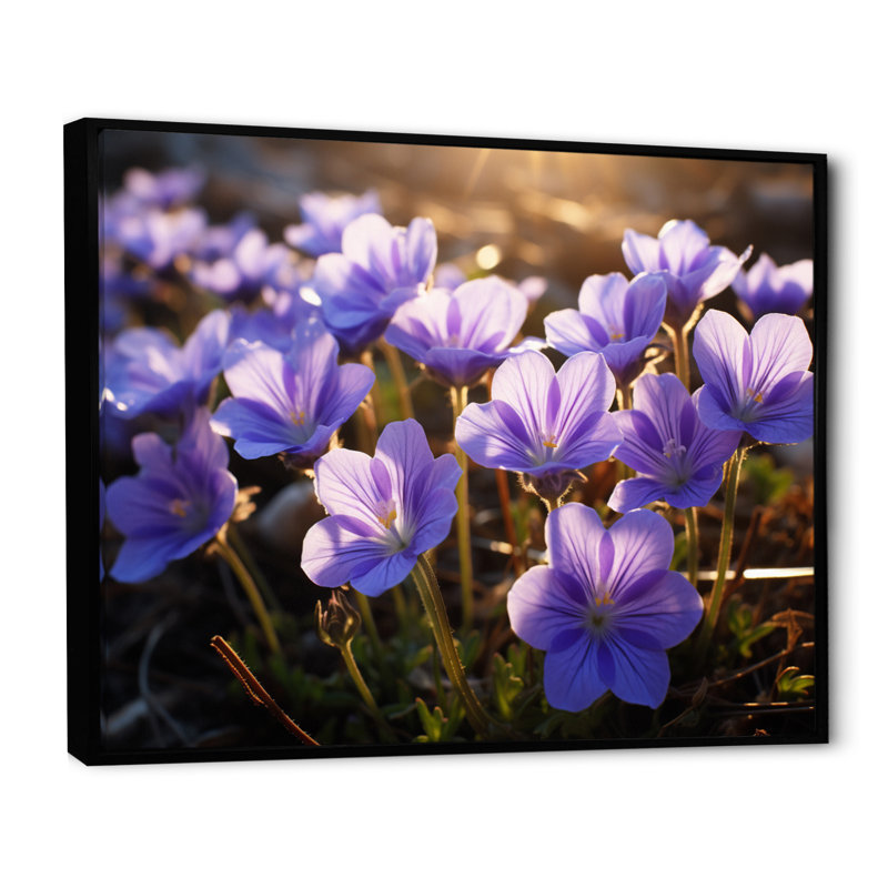 " Violets Field At Sunrise I ", Black Floater Framed, 12" H x 20" W x 1" D