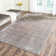Dangello Performance Abstract Rug