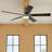 Lucian 60'' Ceiling Fan with LED Lights-715556766