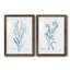 Antique Botanical in Blue I - ensemble de 2 reproductions d'art sur papier encadré-120249701-120249696