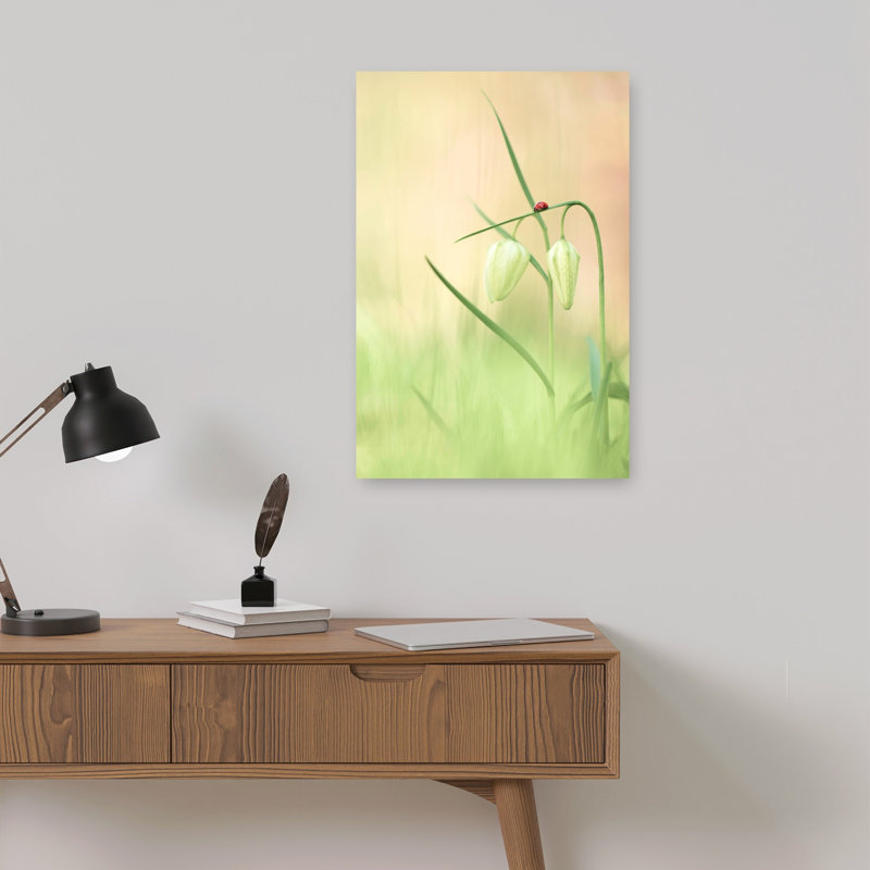 Serene Ladybug Blooms Delicate Peaceful Serene Ladybug Flower Nature Wall Art Print 1 Piece Wrapped Canvas Wall Art
