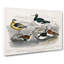 Assortment of Birds by Oliver Goldsmith - Wrapped Canvas Painting Pint - Wrapped Canvas-55367264