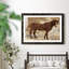 Cheval occidental I - cadre photo-1547326355-1547326364