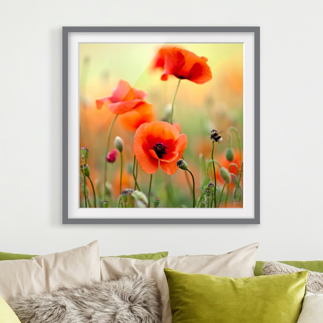 Gerahmter Fotodruck Red Summer Poppy