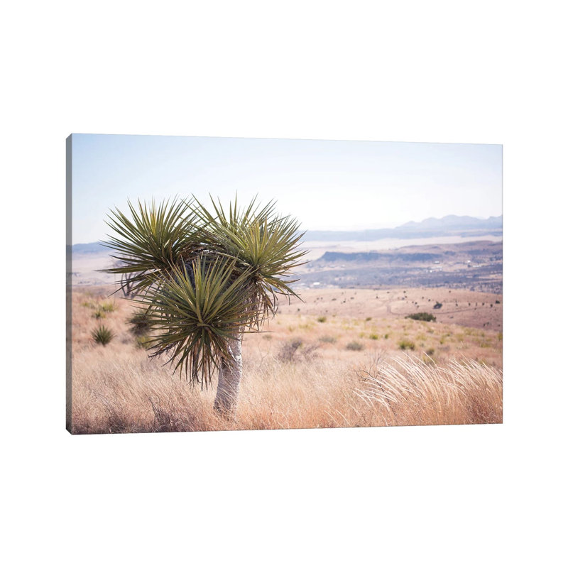 Home On The Range by Ann Hudec - Wrapped Canvas Print, 20.32 cm H x 30.48 cm W