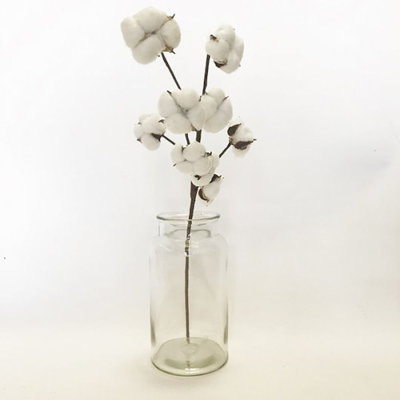 Cotton Arrangement