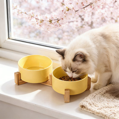 Double Bowl Ceramic Cats Dog Bowl Tall Bowl Protects Cervical Spine Food and Water Dish, 9.25x5.71x1.97 in, Yellow