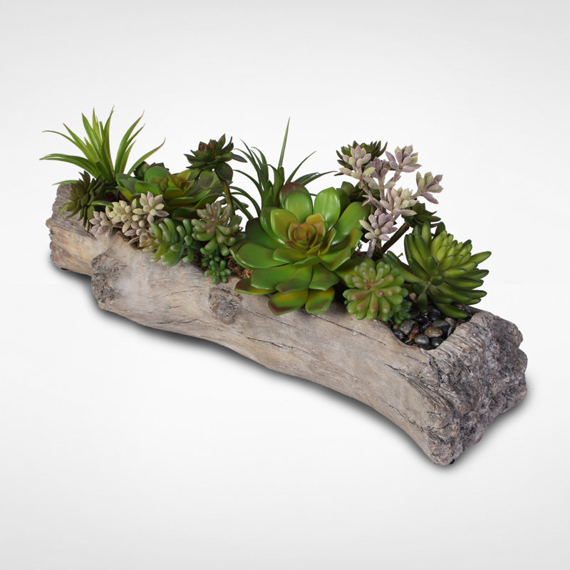 Faux Succulent Plant in Cement Pot