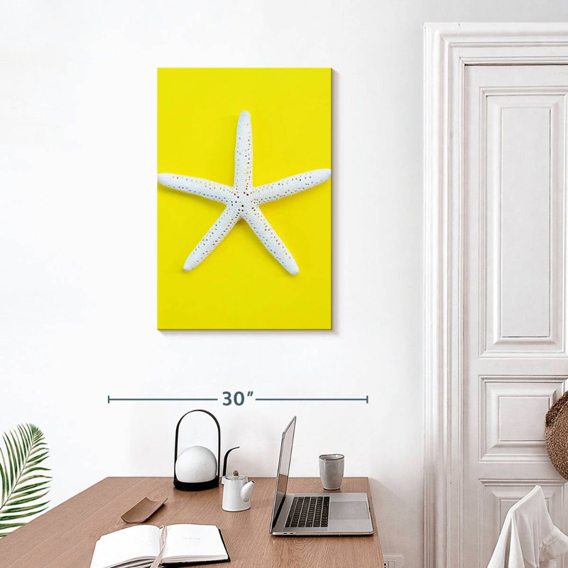 Brampt White Sea Star, 30" H x 20" W