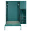 Lit escamotable mural simple sarcelle avec bibliothèque, armoire, bureau et rangement Teal-2009033239