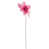 Rose est en rupture de stock