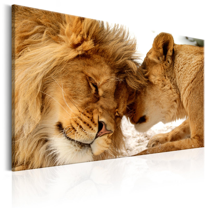 No Frame Print on Canvas, 60cm H x 90cm W