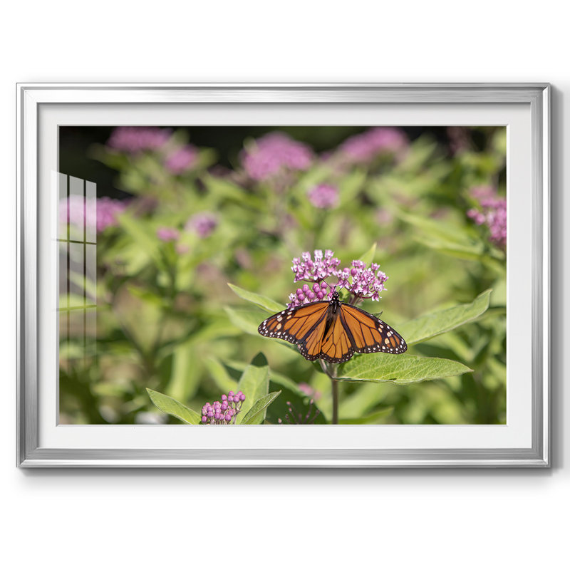 A Place To Rest, impression sur papier encadrée, H 30 po x l 44 po x P 1,5 po, Argent