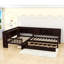 Wooden Platform Bed with Trundle and Shelves and 1 Drawer-801905974