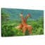 Crowle Giraffe Love-111978829