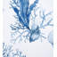 Majorca Fabric
