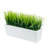 Fake Grass Plants In Cement Window Box