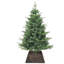 Water Hyacinth Tree Collar