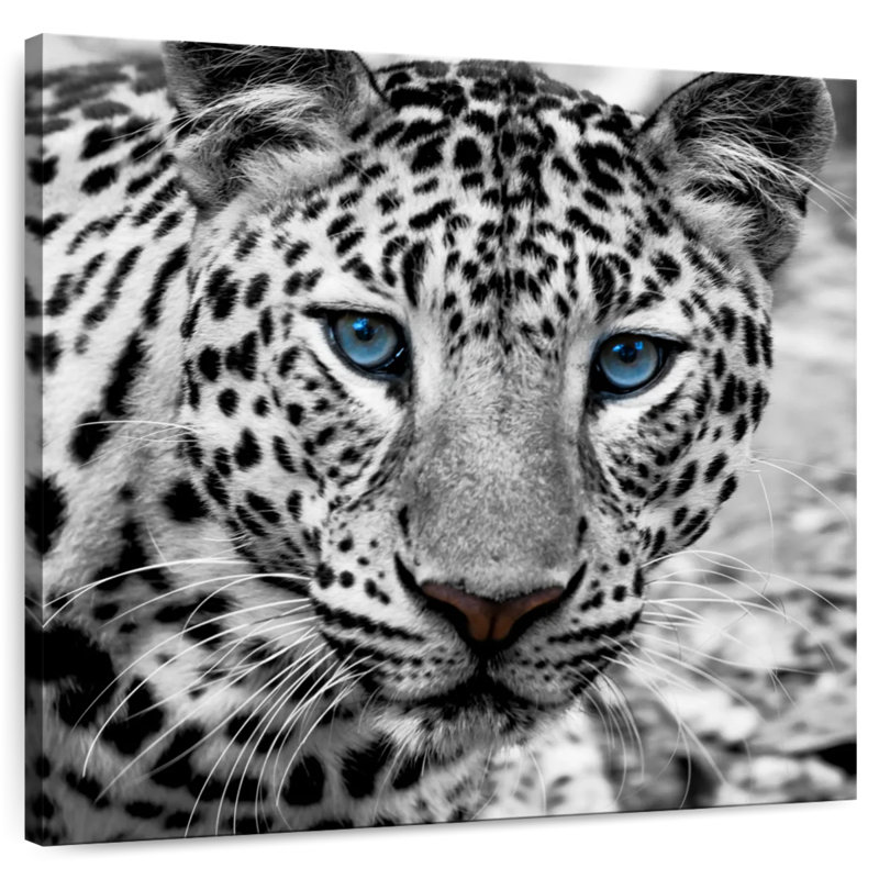 Brampt Zoo Leopard, 16" H x 16" W