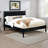 Robah Bed-177318115-177318112