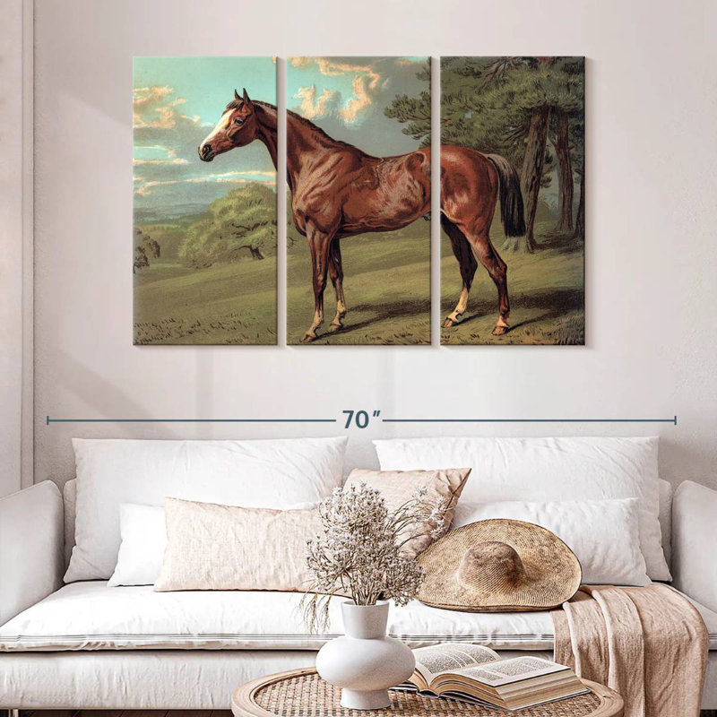 Cheval sauvage rétro
