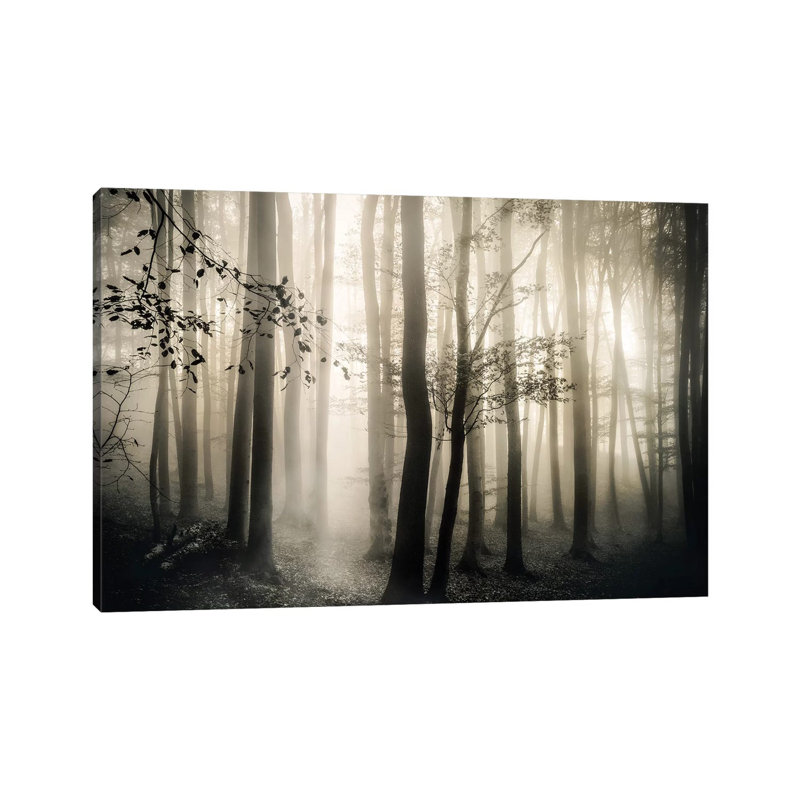 Light Is Always There by Irene Weisz - Wrapped Canvas Print, 66.04 cm H x 45.72 cm W x 3.175 cm D