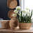 Cane Rattan Basket