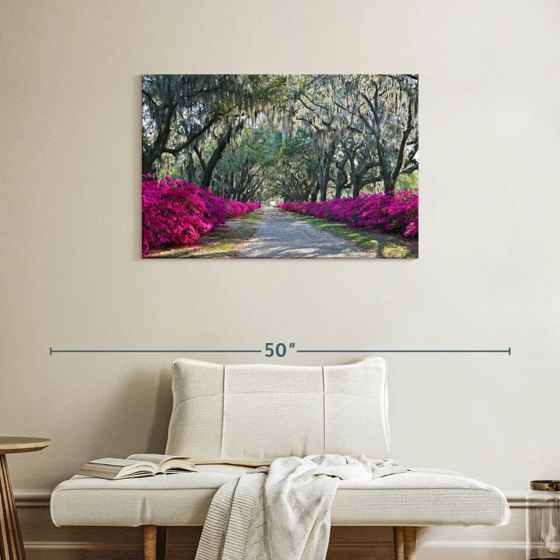 Harnek Azaleas Bonaventure, 24" H x 36" W