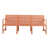 Apricot Brown selected