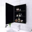Armoire à pharmacie noire avec miroir-484960943