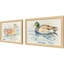 Water Duck Non-Glass Framed Art