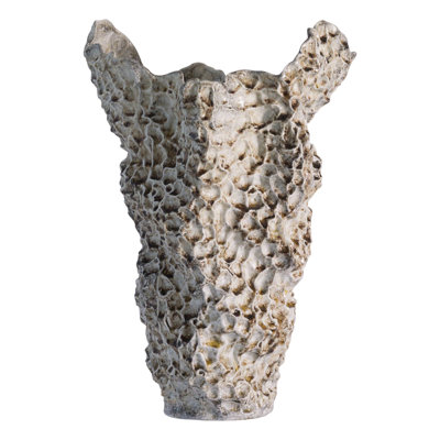 Vase Barrier Reef