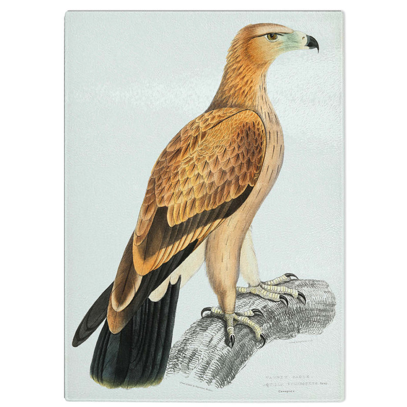 Tempered Glass Tawny Eagle by John Edward Gray Cutting Board, 20 cm W x 28.5 cm L