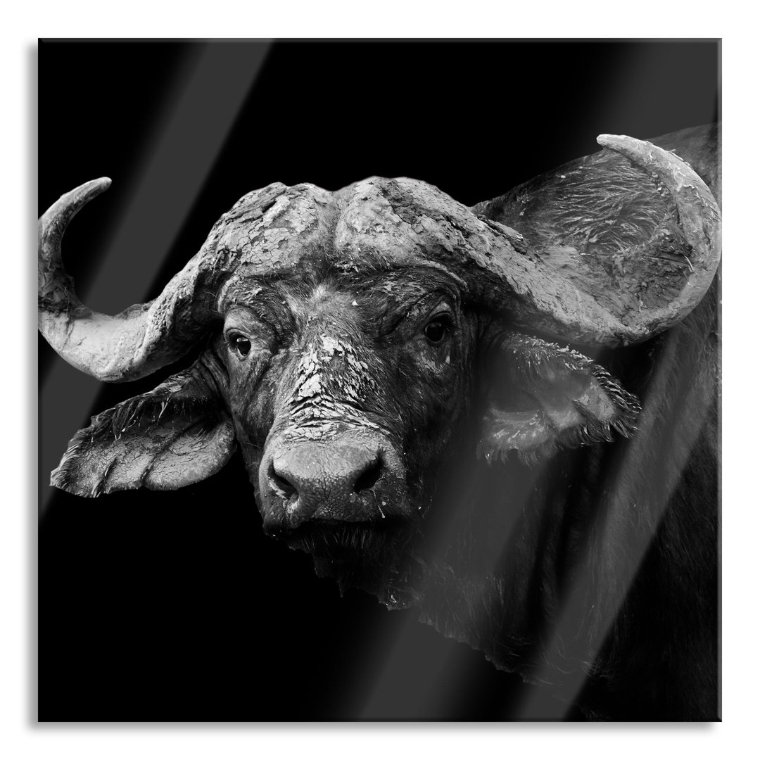 Ungerahmtes Foto auf Glas "Dark Water Buffalo"