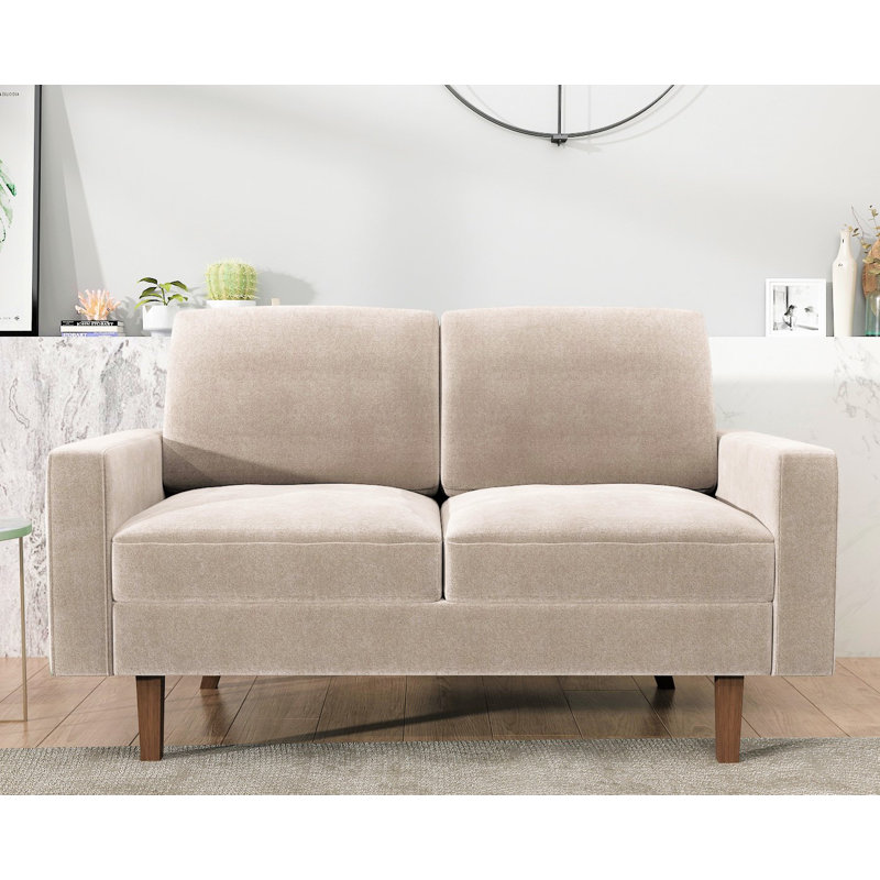 Noreen 57.9'' Velvet Loveseat, Ivory Velvet