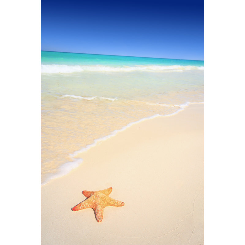 Arguelles Starfish On The Beach - Wrapped Canvas Print, 46cm H x 30cm W x 3.8cm D
