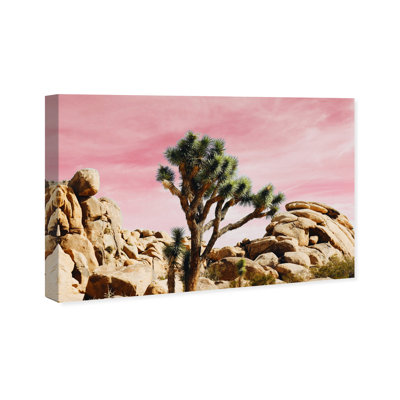« joshua tree rose », impression